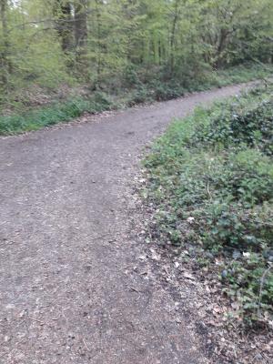 Photo 19