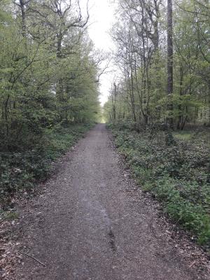 Photo 20