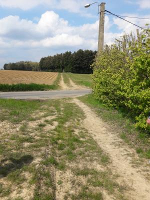 Photo 29