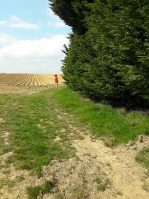 Photo 32
