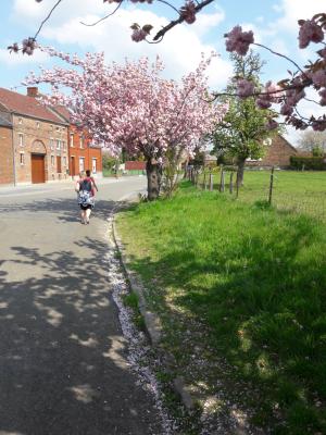 Photo 49