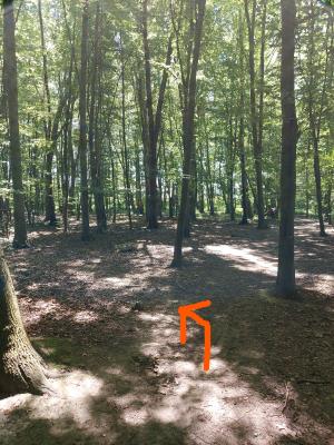 Photo 41